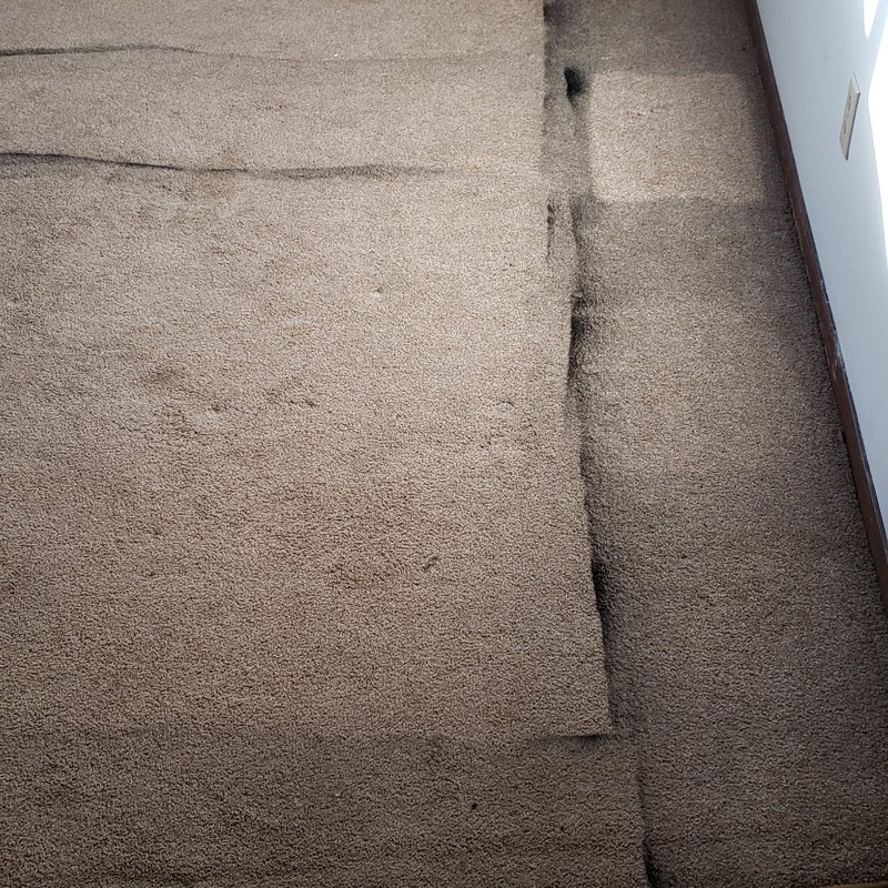 Before: a harsh surface stain on carpet.
