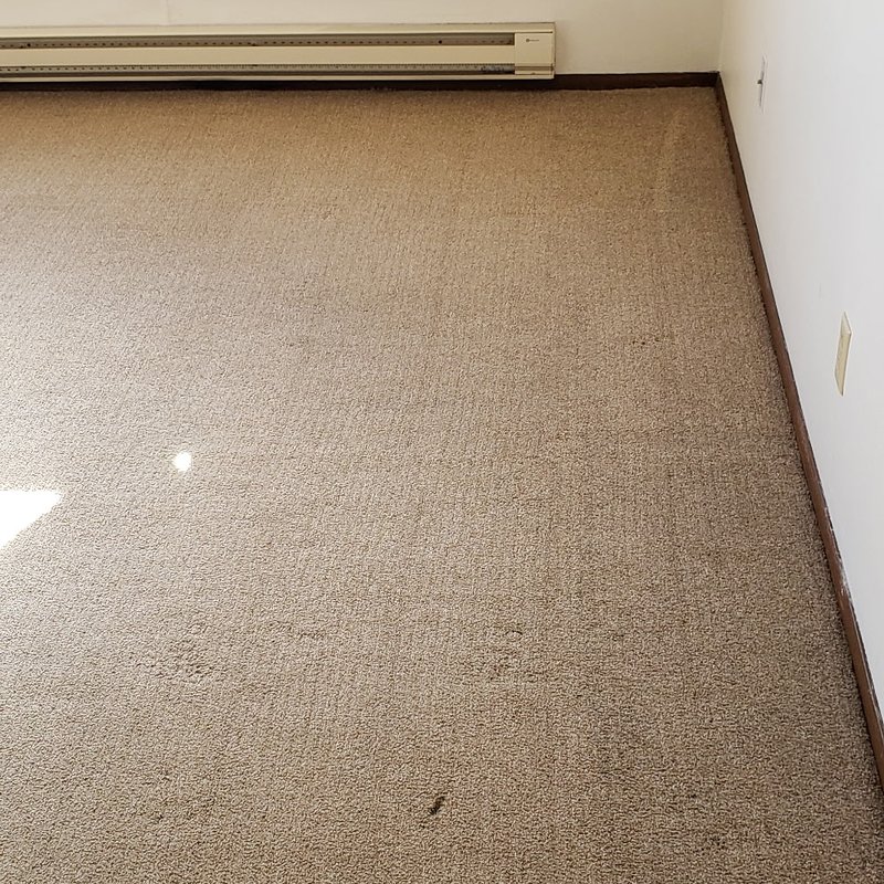 After: the same area following professional treatment