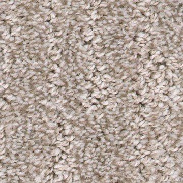 carpet_fl